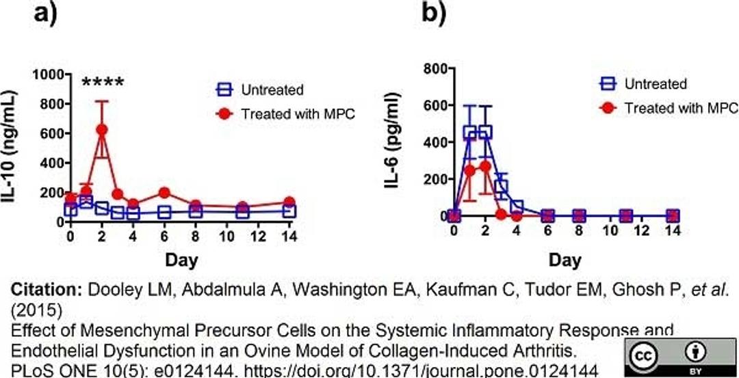 Biotinylated Mouse anti Bovine interleukin-10  used as a detection reagent for ELISA.