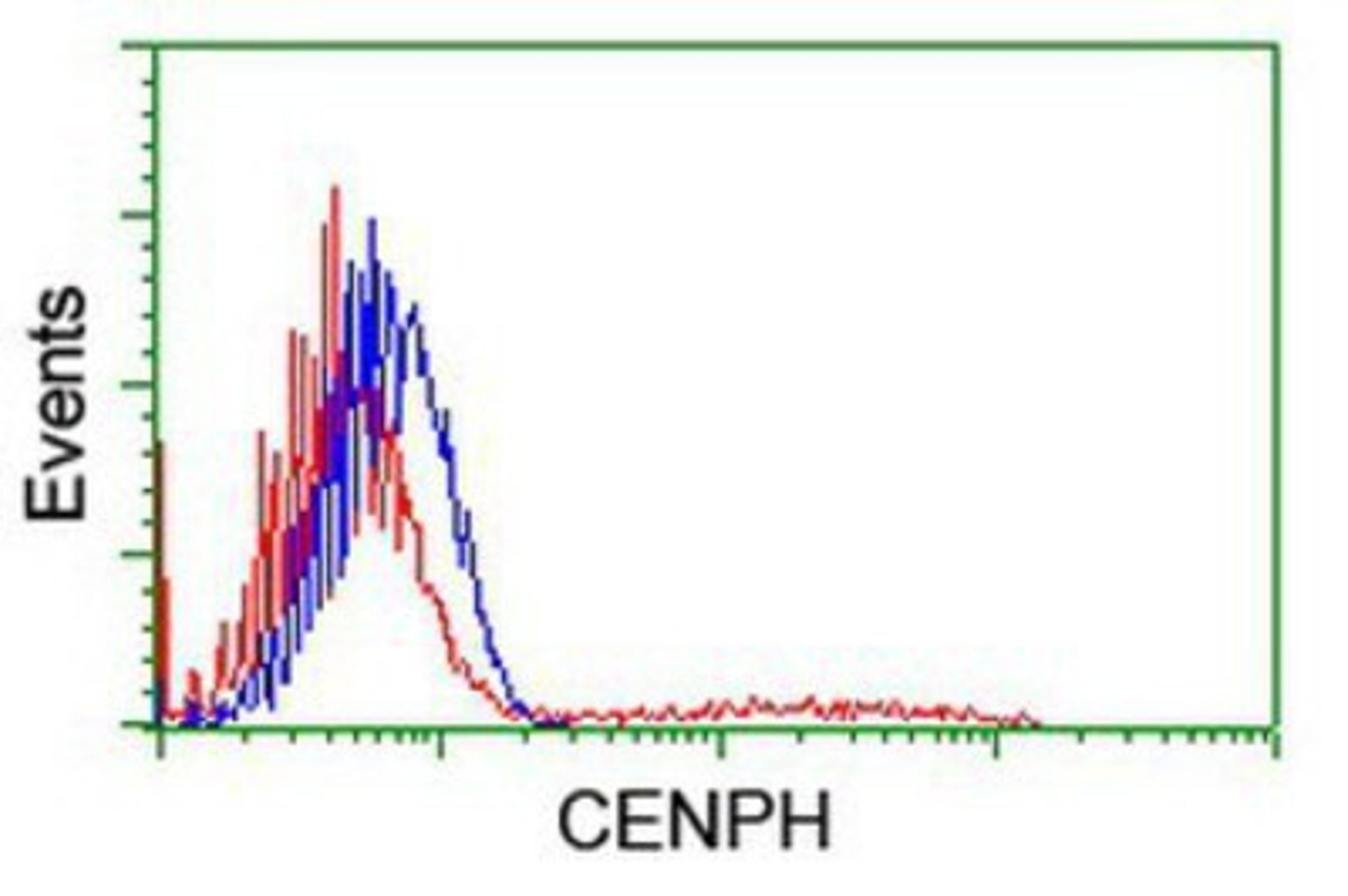 Flow Cytometry: CENPH Antibody (2G4) [NBP2-01449] - HEK293T cells transfected with either overexpression plasmid (Red) or empty vector control plasmid (Blue) were immunostained by anti-CENPH antibody, and then analyzed by flow cytometry.