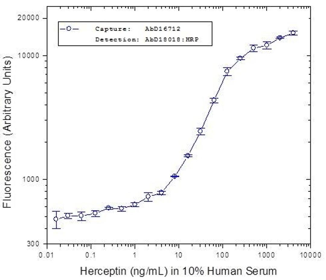 Herceptin® bridging ELISA using Human anti Herceptin® as the coating antibody