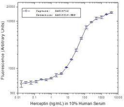 Herceptin® bridging ELISA using Human anti Herceptin® as the coating antibody