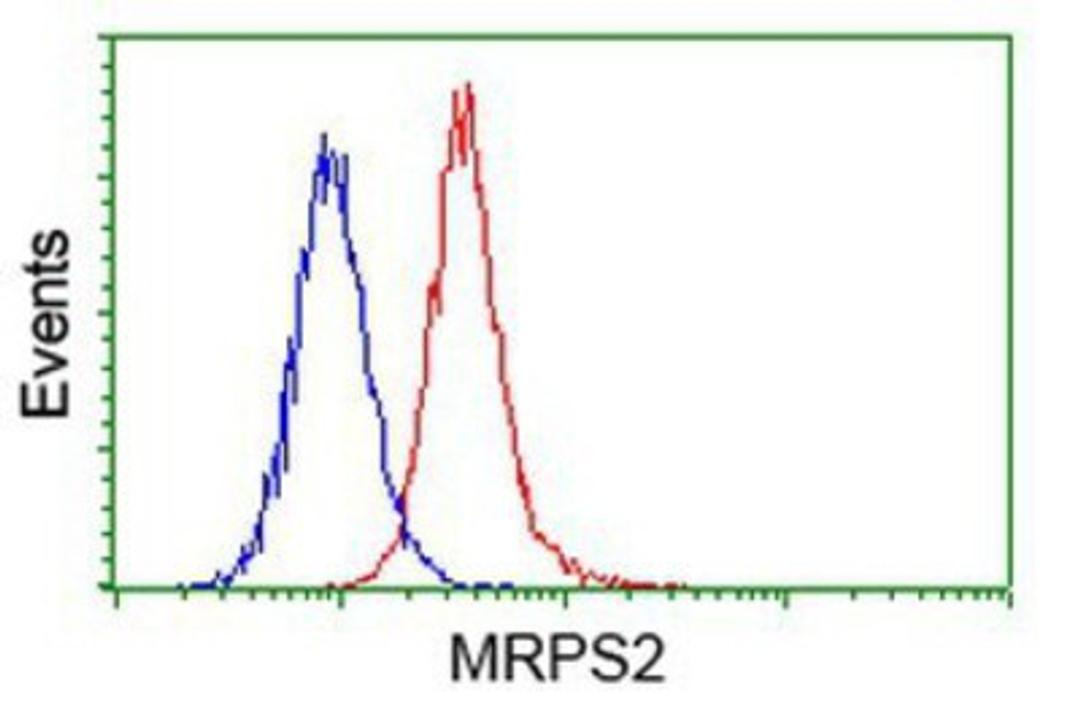 Flow Cytometry: MRPS2 Antibody (4D6) [NBP2-03292] - Analysis of Hela cells, using anti-MRPS2 antibody, (Red), compared to a nonspecific negative control antibody (Blue).