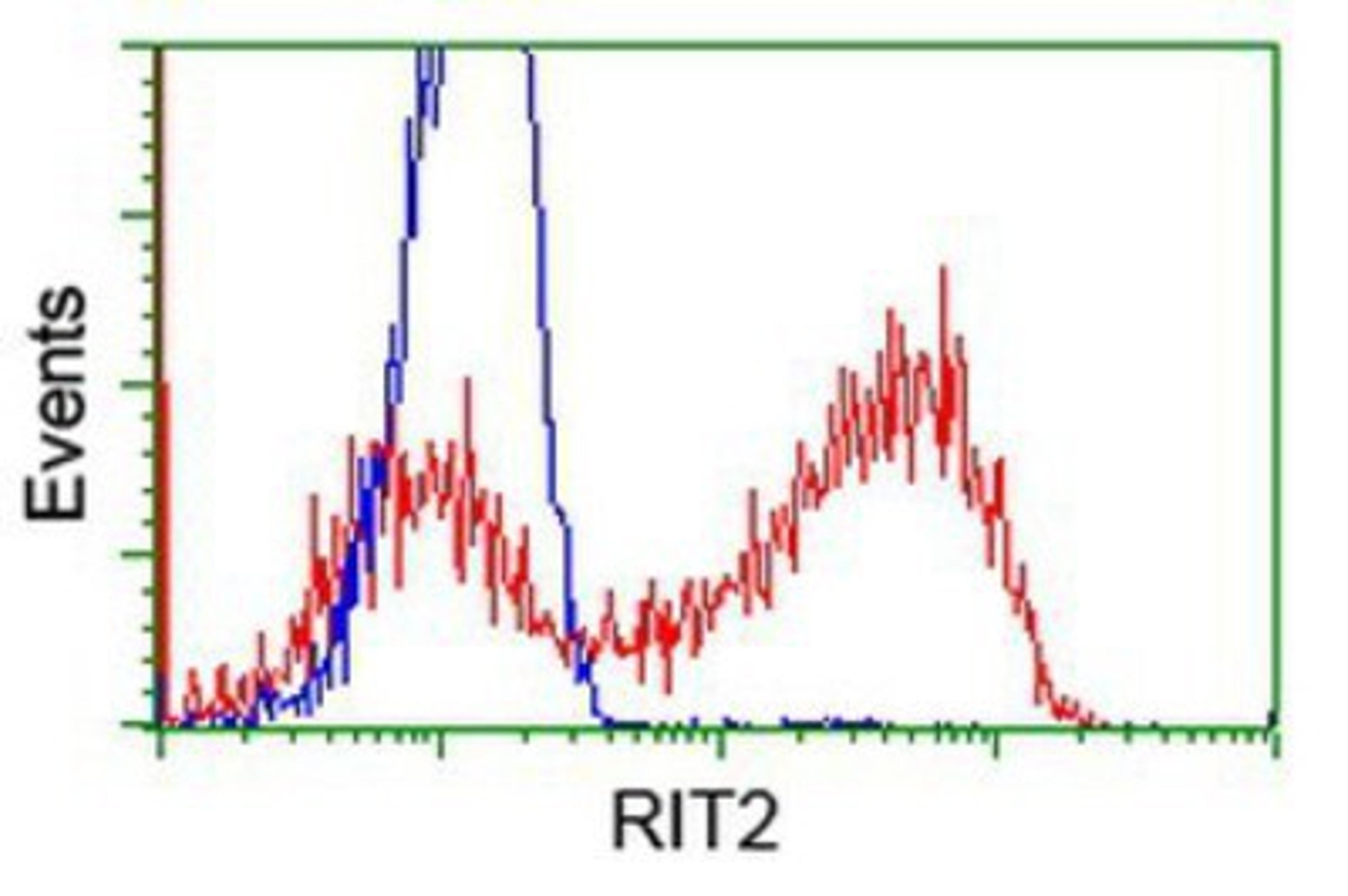 Flow Cytometry: RIT2 Antibody (3F4) [NBP2-03062] - HEK293T cells transfected with either overexpression plasmid (Red) or empty vector control plasmid (Blue) were immunostained by anti-RIT2 antibody, and then analyzed by flow cytometry.