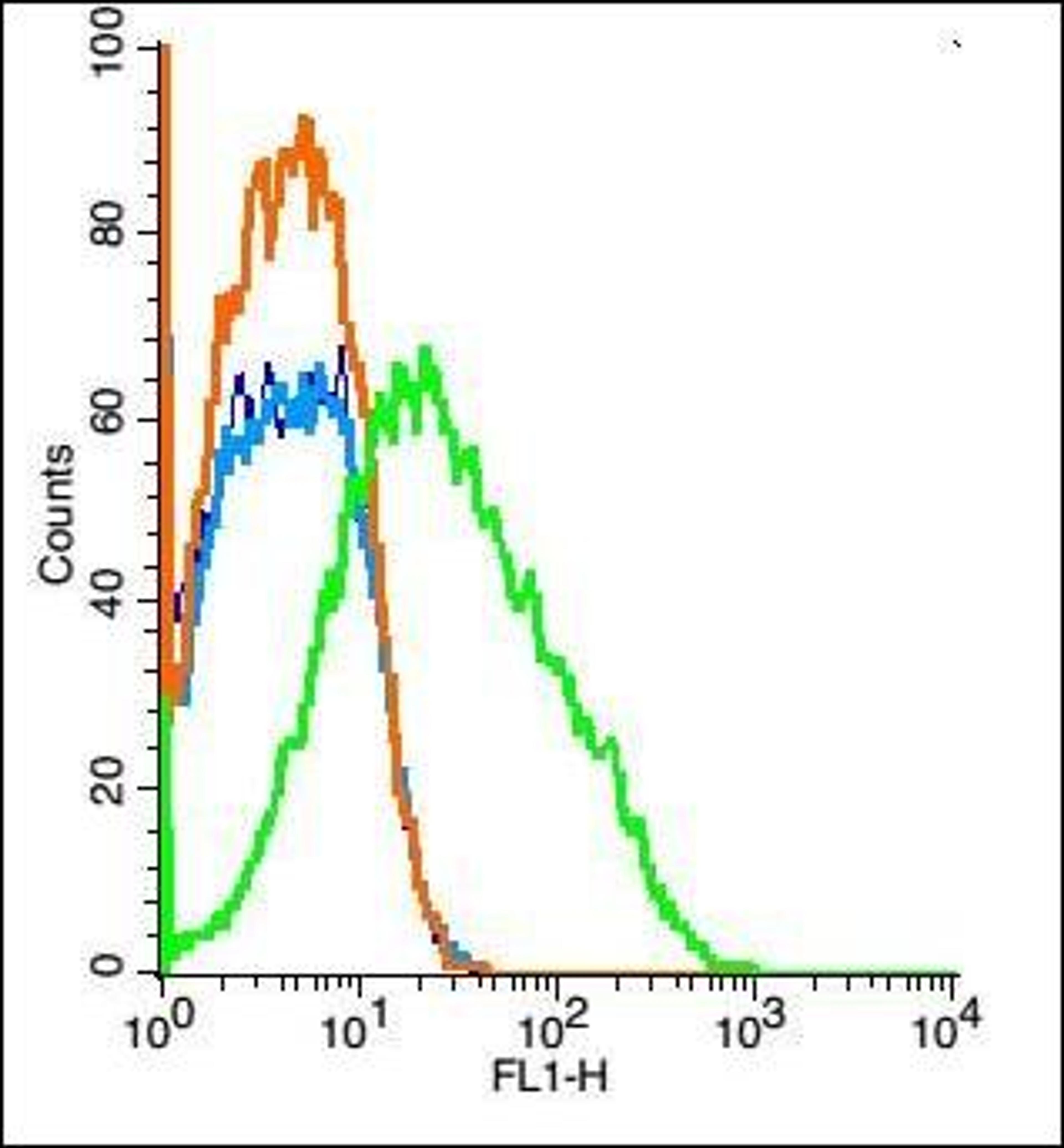 Flow cytometric analysis of (mo) Nephrocyte Cell using KCC4 antibody.