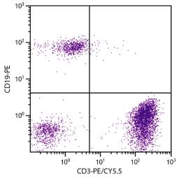 Human peripheral blood lymphocytes were stained with Mouse Anti-Human CD3-PE/CY5.5 (Cat. No. 99-420) and Mouse Anti-Human CD19-PE .