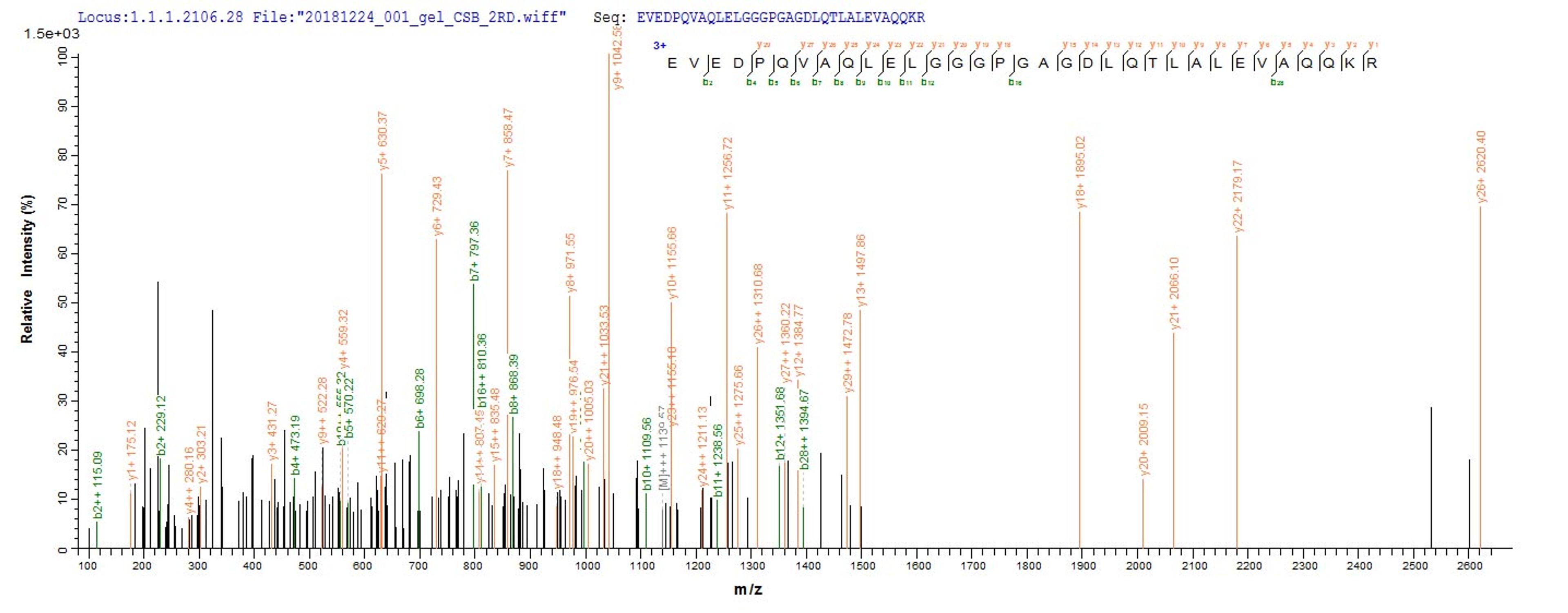 Based on the SEQUEST from database of E.coli host and target protein, the LC-MS/MS Analysis result of CSB-EP360644MO could indicate that this peptide derived from E.coli-expressed Mus musculus (Mouse) Ins2.