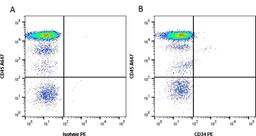 Figure A. Mouse anti Human CD31. Figure B. Mouse anti Human CD31 and Mouse anti Human CD34. 