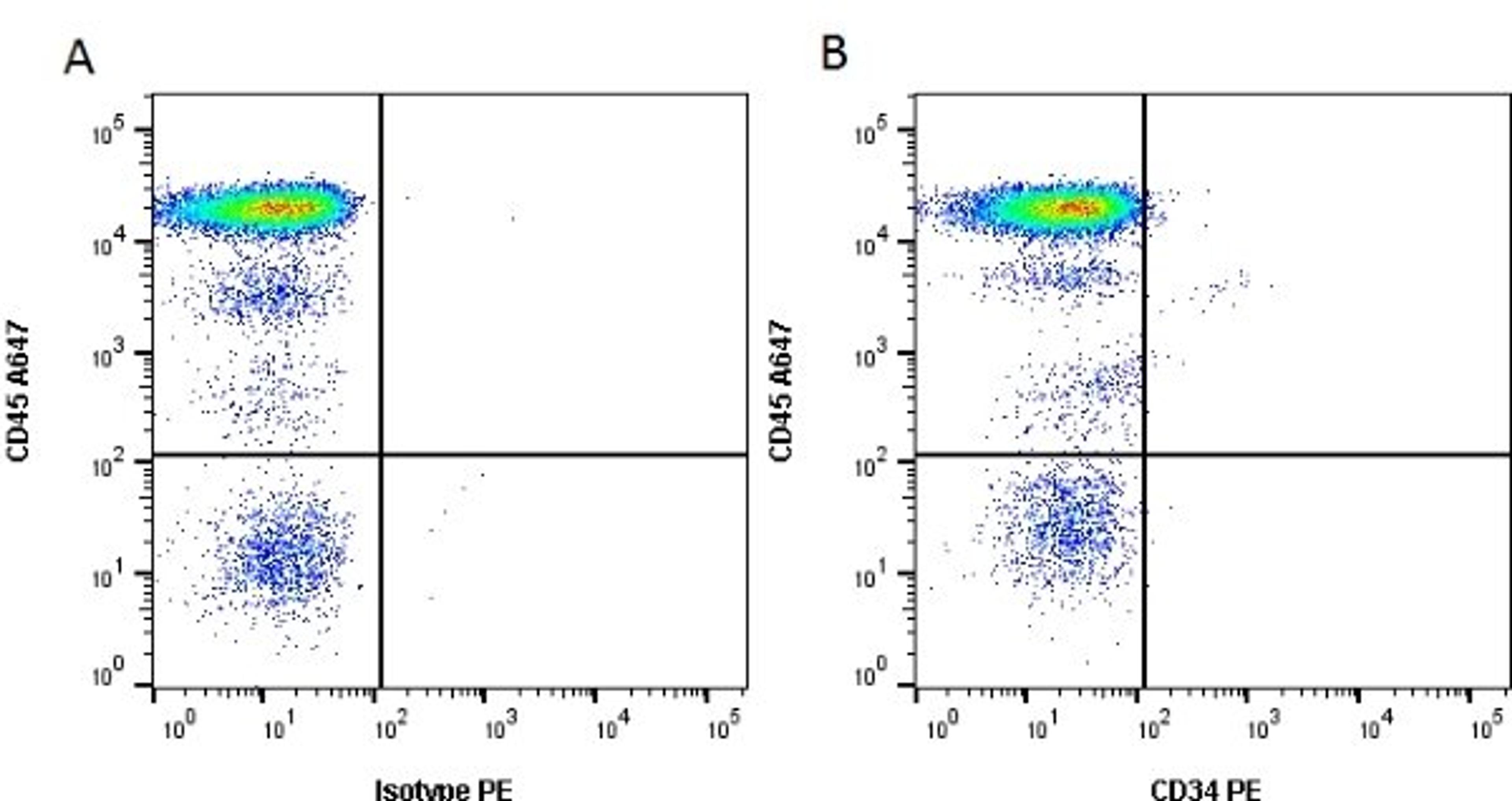 Figure A. Mouse anti Human CD31. Figure B. Mouse anti Human CD31 and Mouse anti Human CD34. 