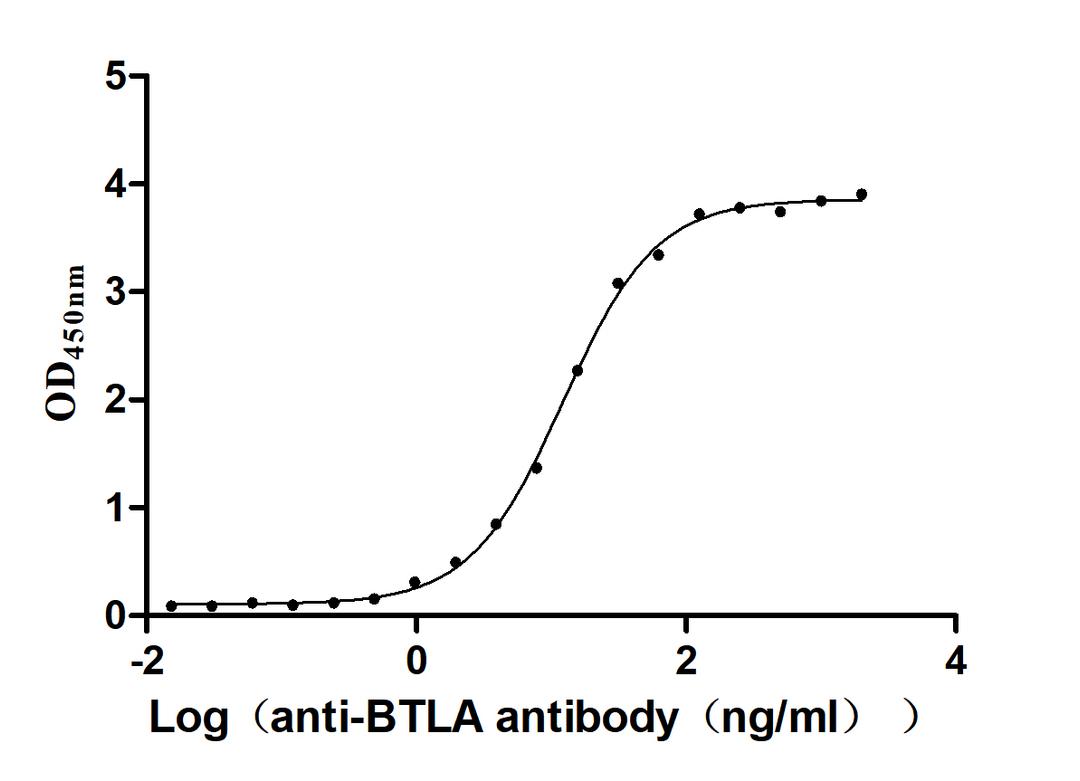 The Binding Activity of Human BTLA with Anti-BTLA Recombinant Antibody. Activity: Measured by its binding ability in a functional ELISA. Immobilized Human BTLA(CSB-MP773799HU1)at 2 μg/mL can bind Anti-BTLA recombinant antibody , the EC<sub>50</sub> is 11.56-13.00 ng/mL.