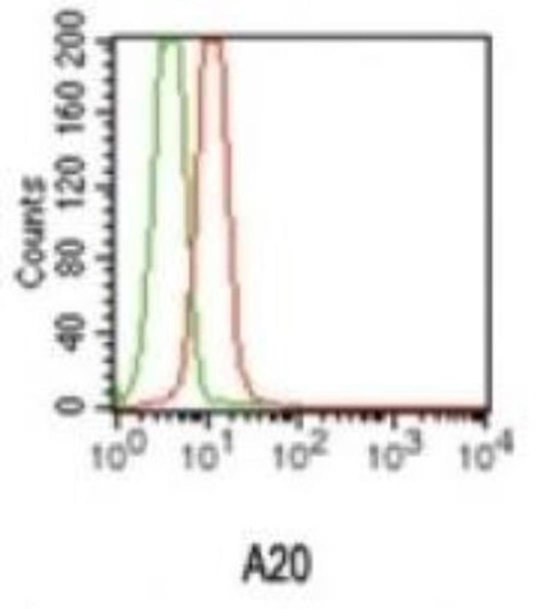 Flow Cytometry: A20/TNFAIP3 Antibody (59A426) [NBP1-77533] - Intracellular flow cytometric analysis of A20 in ThP-1 cells using A20 antibody (red) and isotype control (green) at 0.5 ug/ml