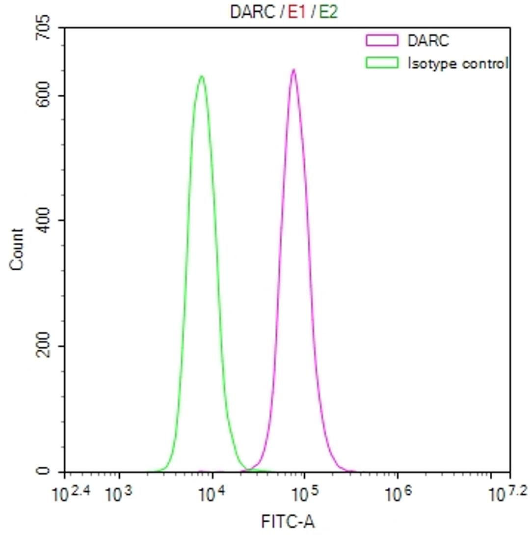 Overlay Peak curve showing 293 cells stained with CSB-RA287686A0HU (red line) at 1:50. The cells were fixed in 4% formaldehyde and permeated by 0.2% TritonX-100. Then 10% normal goat serum to block non-specific protein-protein interactions followed by the antibody (1µg/1*10<sup>6</sup>cells) for 45min at 4℃. The secondary antibody used was FITC-conjugated Goat Anti-rabbit IgG(H+L) at 1:200 dilution for 35min at 4℃.Control antibody (green line) was rabbit IgG (1µg/1*10<sup>6</sup>cells) used under the same conditions. Acquisition of >10,000 events was performed.
