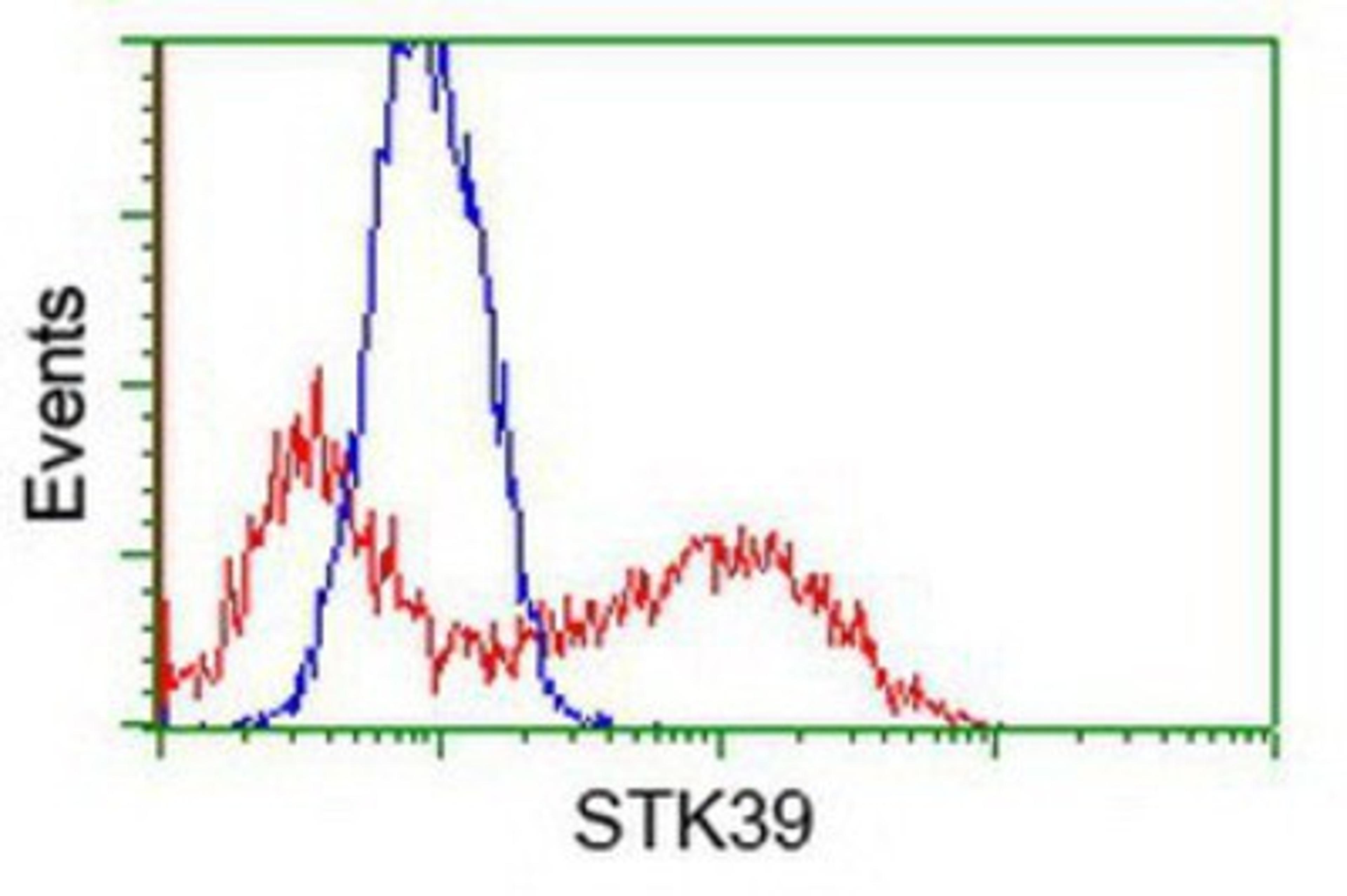 Flow Cytometry: STK39 Antibody (4E3) [NBP1-48021] - HEK293T cells transfected with either overexpression plasmid (Red) or empty vector control plasmid (Blue) were immunostained by anti-STK39 antibody, and then analyzed by flow cytometry.