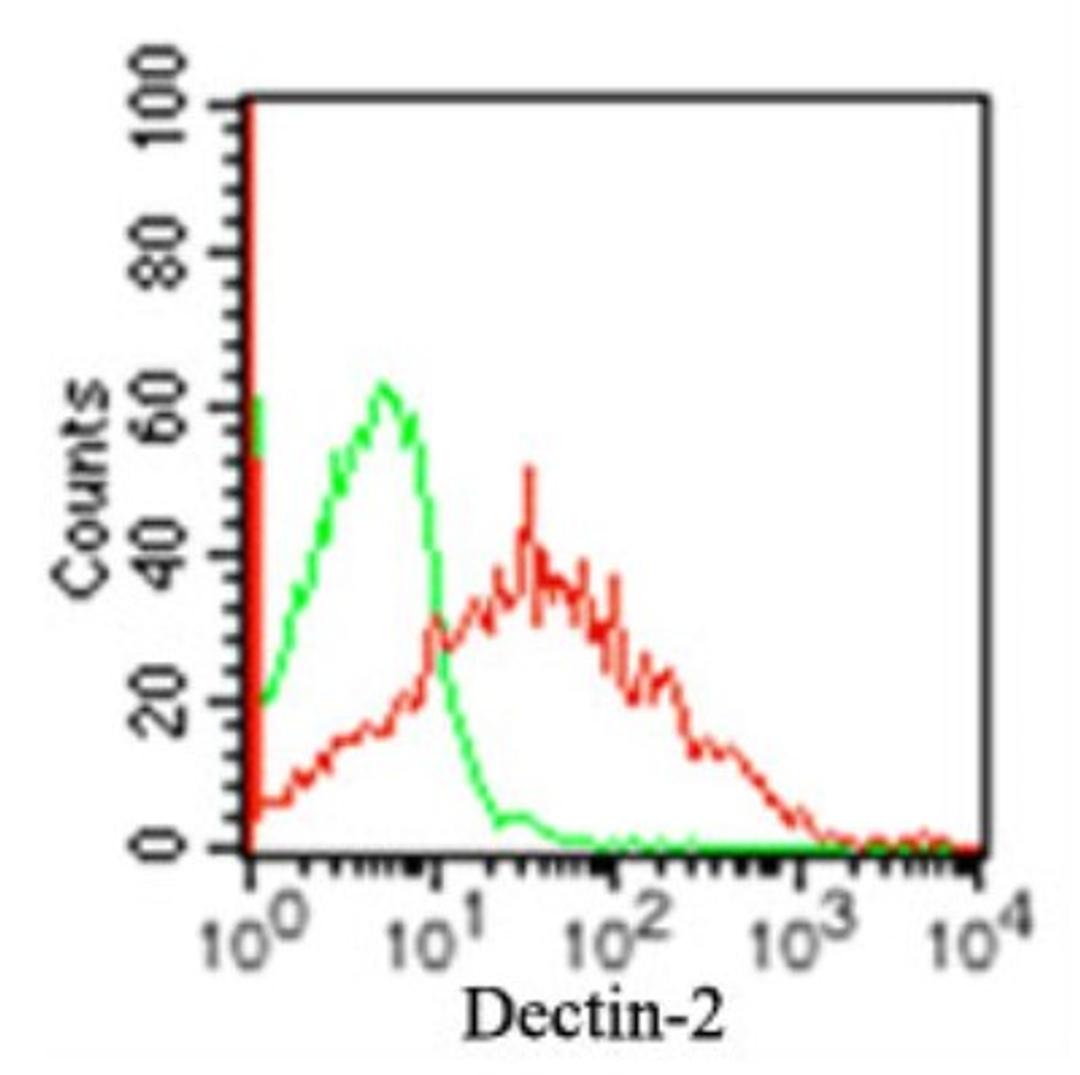 Flow Cytometry: DECTIN 2 Antibody (3D1) [NBP2-27159] - Surface staining of Dectin-2 on 5x10^5 human PBMCs using 0.5 ug of Dectin-2 antibody (red) and 0.5 ug of isotype control antibody (green). this antibody was used for this test.