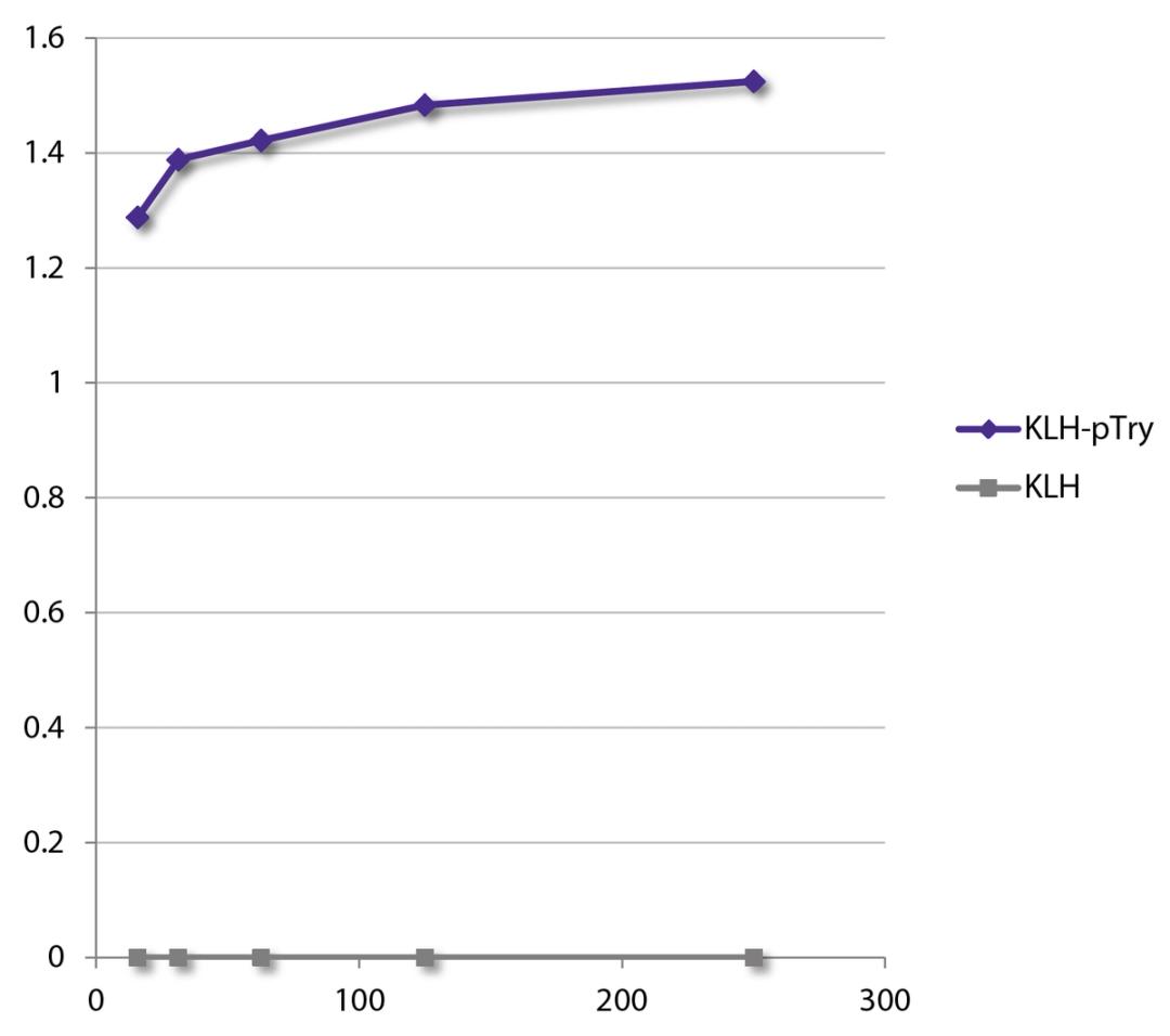 KLH and KLH conjugated to phosphotyrosine (KLH-pTry) was coated at 10 mg/mL. KLH-pTry was detected with varying concentrations of Mouse Anti-Phophotyrosine-UNLB (Cat. No. 98-513) followed by and Goat Anti-Mouse IgG2b, Human ads-HRP .