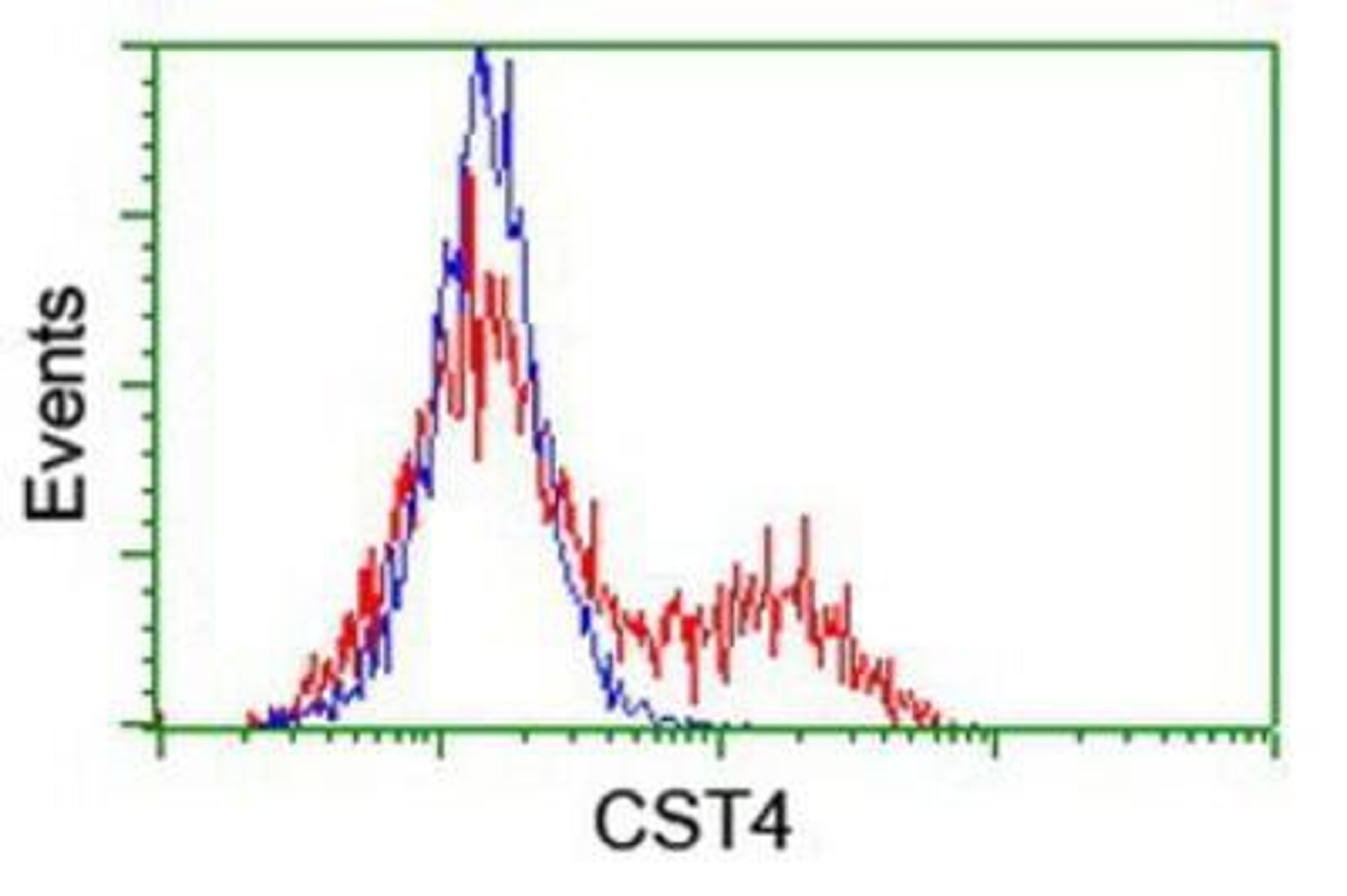 Flow Cytometry: Cystatin S Antibody (2H10) [NBP2-01656] - HEK293T cells transfected with either overexpression plasmid (Red) or empty vector control plasmid (Blue) were immunostained by anti-Cystatin S antibody, and then analyzed by flow cytometry.