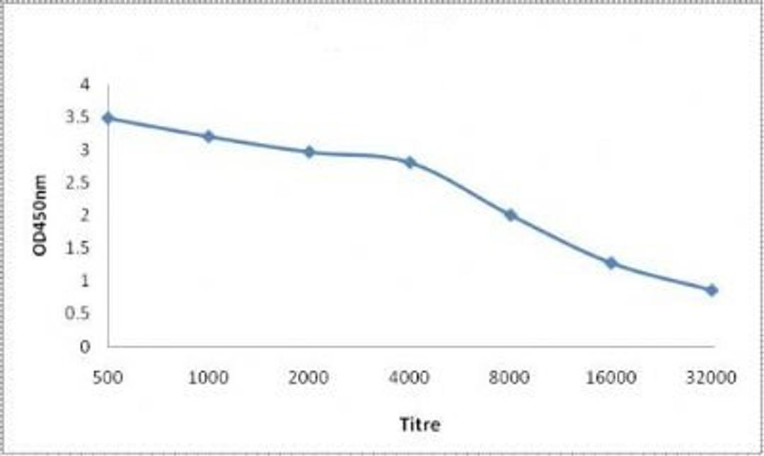 Line graph illustrates about the Ag-Ab reactions using different concentrations of antigen and serial dilutions of KCNA5 antibody