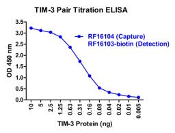 A sandwich ELISA was performed using the anti-TIM-3 mAb RF16104 (5 μg/ml) as the capture antibody. Biotin-labeled anti-TIM-3 mAb RF16103-biotin (1 μg/ml) and streptavidin-HRP (0.1 μg/ml) were used for detection. Detection range is from 10