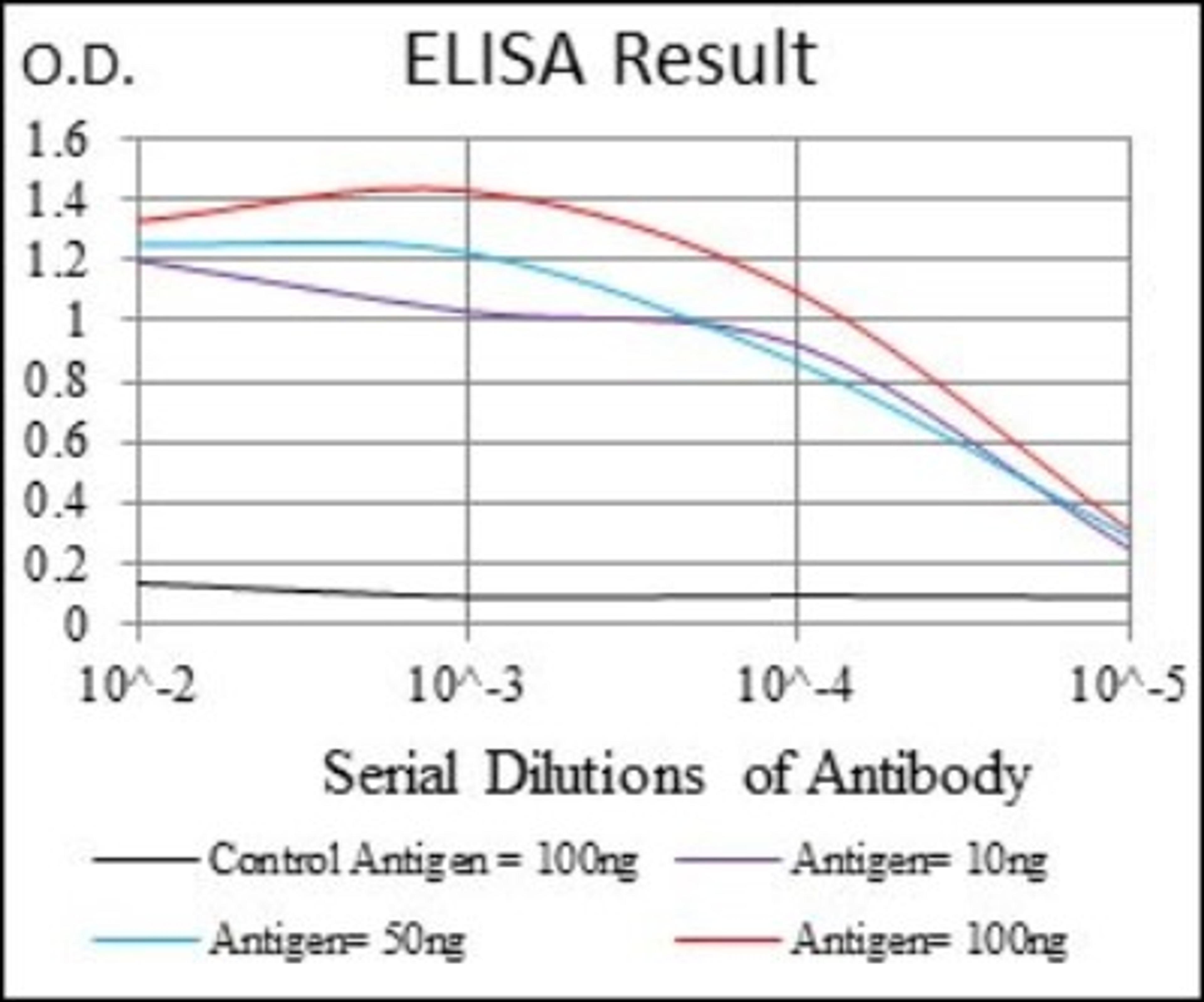 ELISA: Twist-1 Antibody (10E4E6) [NBP2-37364] - Red: Control Antigen (100ng); Purple: Antigen (10ng); Green: Antigen (50ng); Blue: Antigen (100ng);