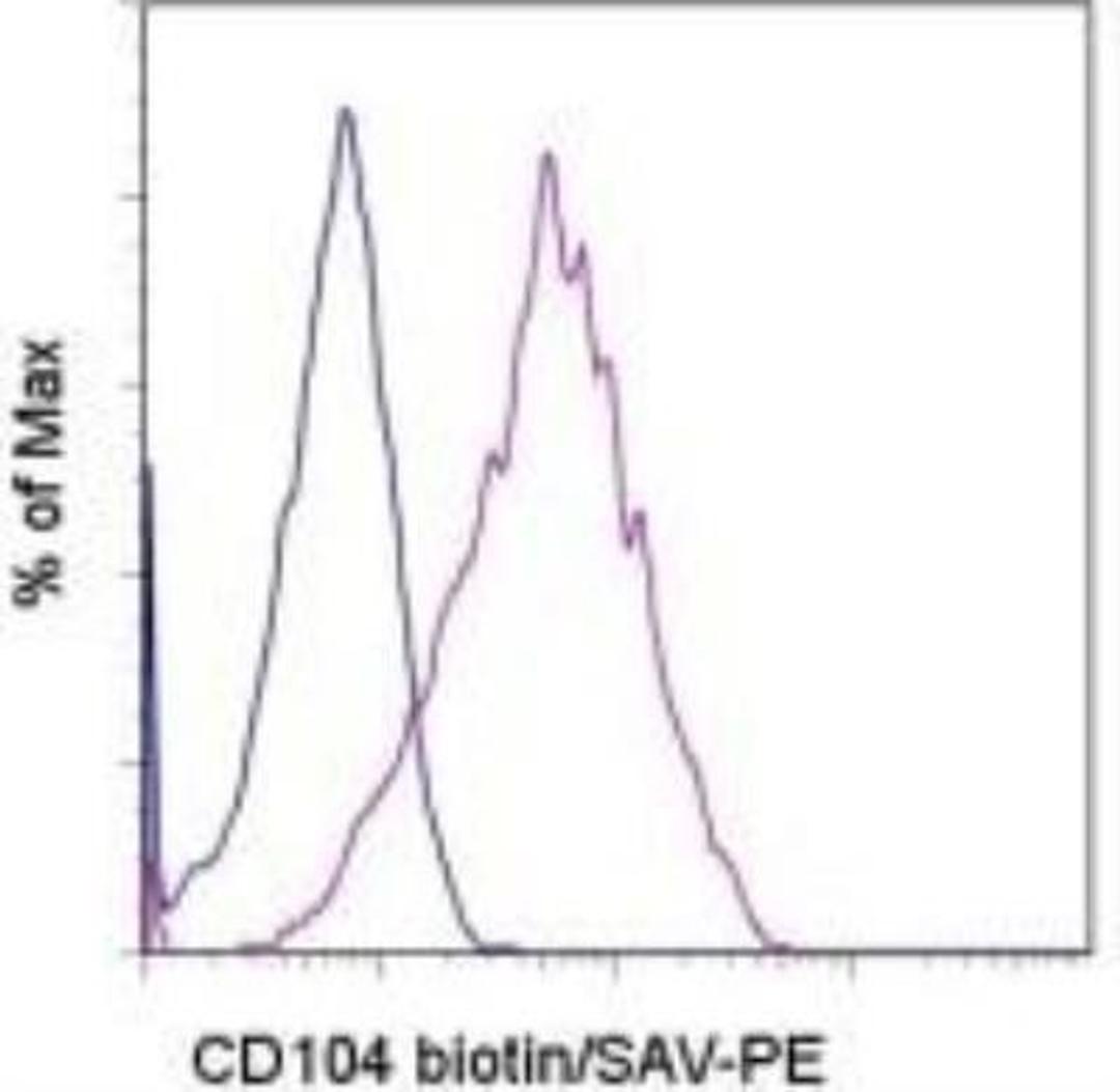 Flow Cytometry: Integrin beta 4/CD104 Antibody (439-9B) [NBP1-43369] - Analysis using the Biotin conjugate of NBP1-43369. Staining of the A549 cell line with 0.125 ug of Rat IgG2b k Isotype Control Biotin (open histogram) or 0.125 ug of Anti-Human CD104 (Integrin BETA 4) Biotin (filled histogram) followed by Streptavidin PE.