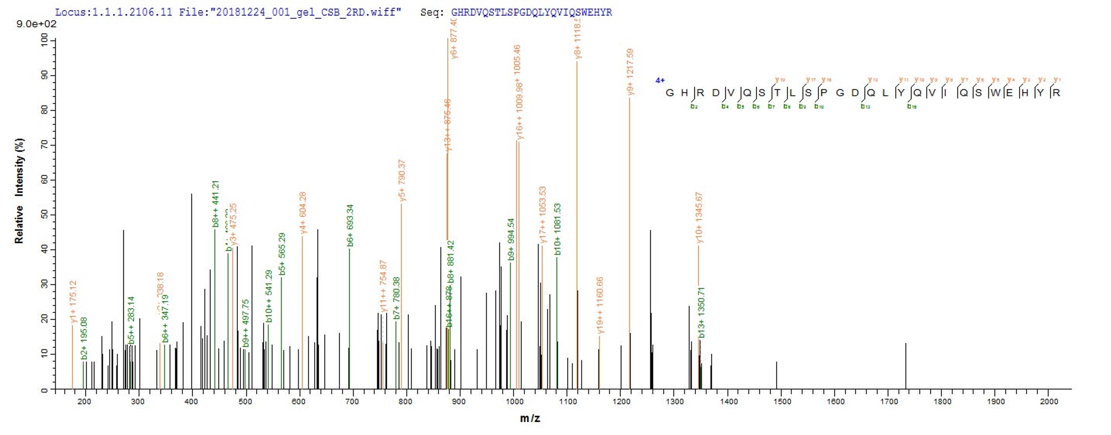 Based on the SEQUEST from database of E.coli host and target protein, the LC-MS/MS Analysis result of CSB-EP017862MO could indicate that this peptide derived from E.coli-expressed Mus musculus (Mouse) Pglyrp1.