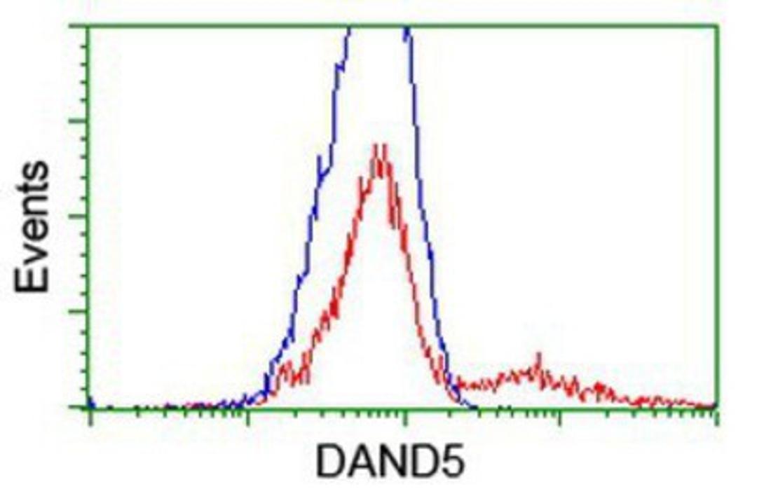 Flow Cytometry: DAND5 Antibody (2H3) [NBP2-01223] - HEK293T cells transfected with either overexpression plasmid (Red) or empty vector control plasmid (Blue) were immunostained by anti-DAND5 antibody, and then analyzed by flow cytometry.