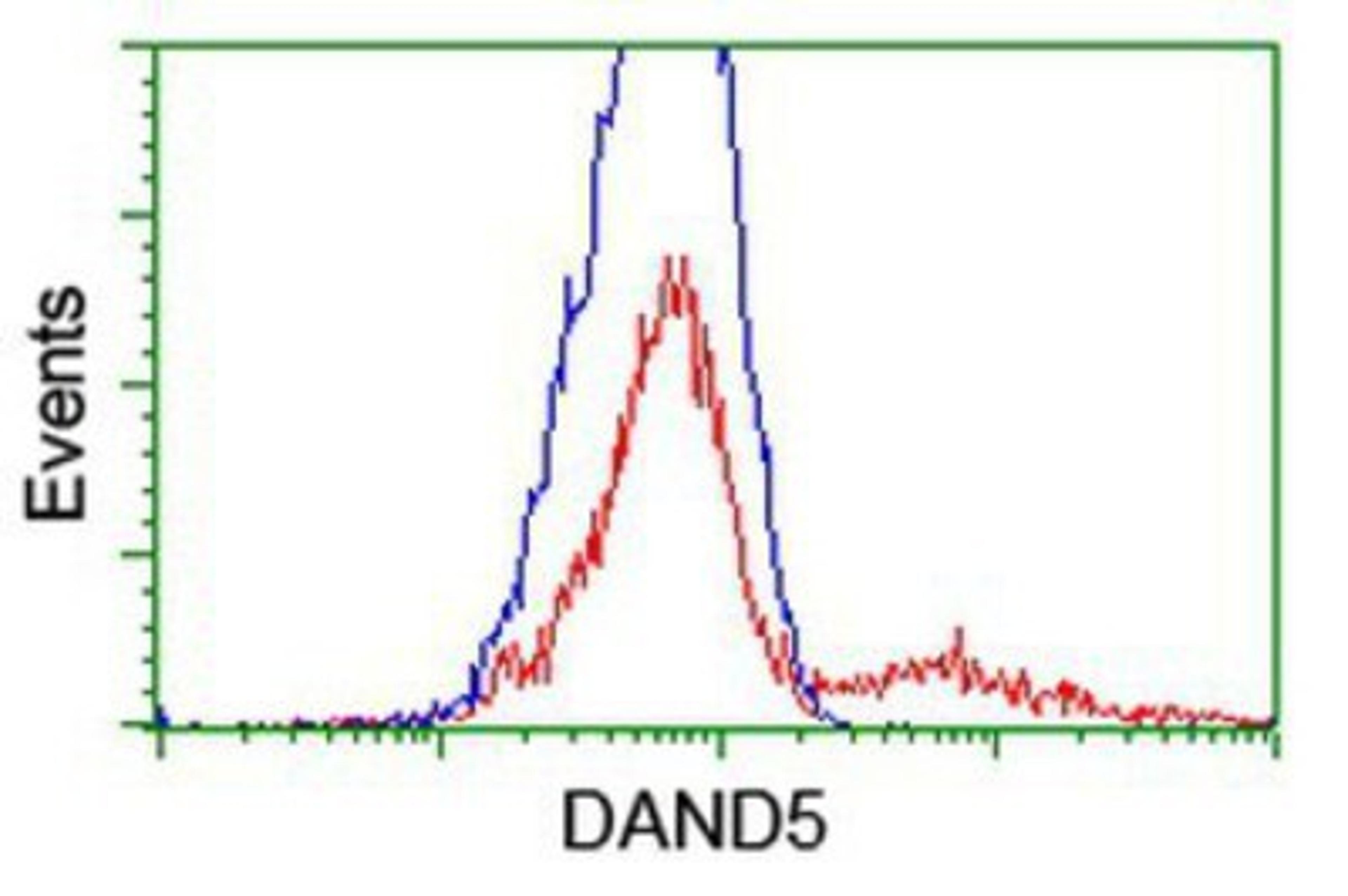 Flow Cytometry: DAND5 Antibody (2H3) [NBP2-01223] - HEK293T cells transfected with either overexpression plasmid (Red) or empty vector control plasmid (Blue) were immunostained by anti-DAND5 antibody, and then analyzed by flow cytometry.