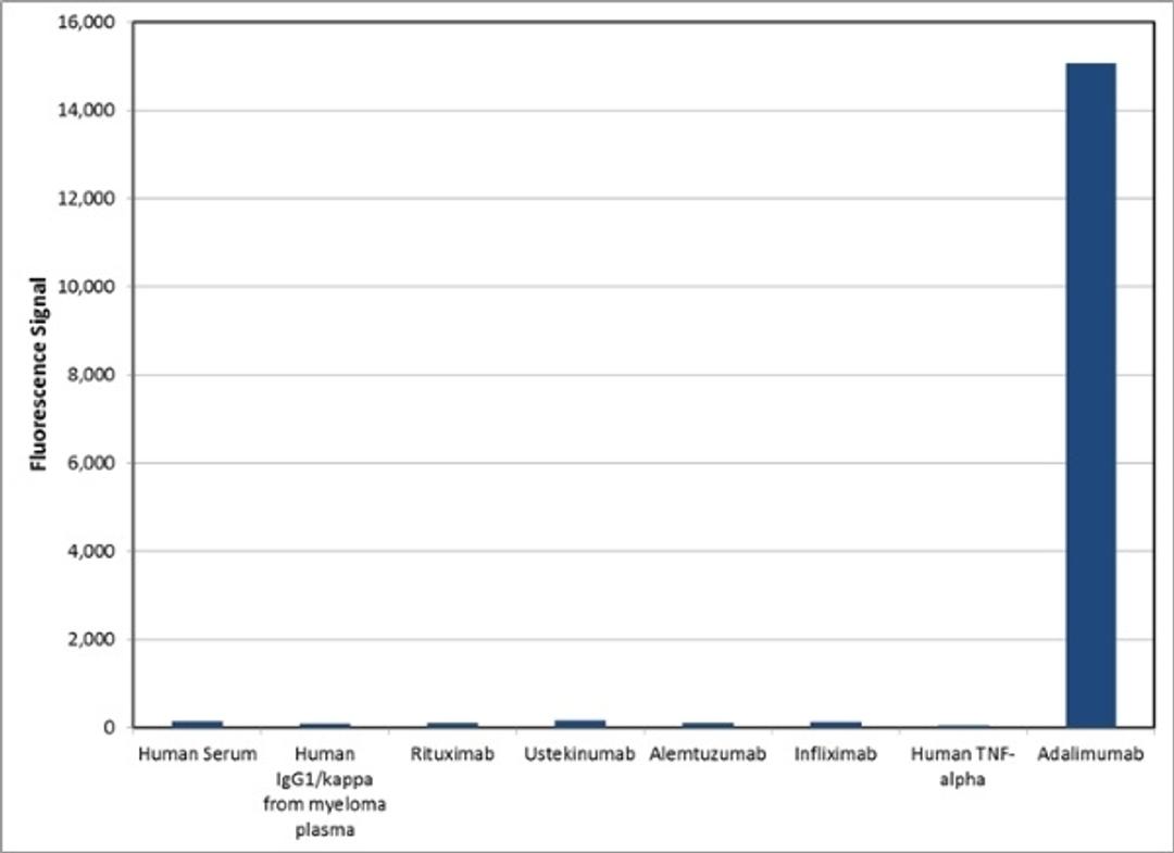 Human Anti-Adalimumab Antibody specificity ELISA