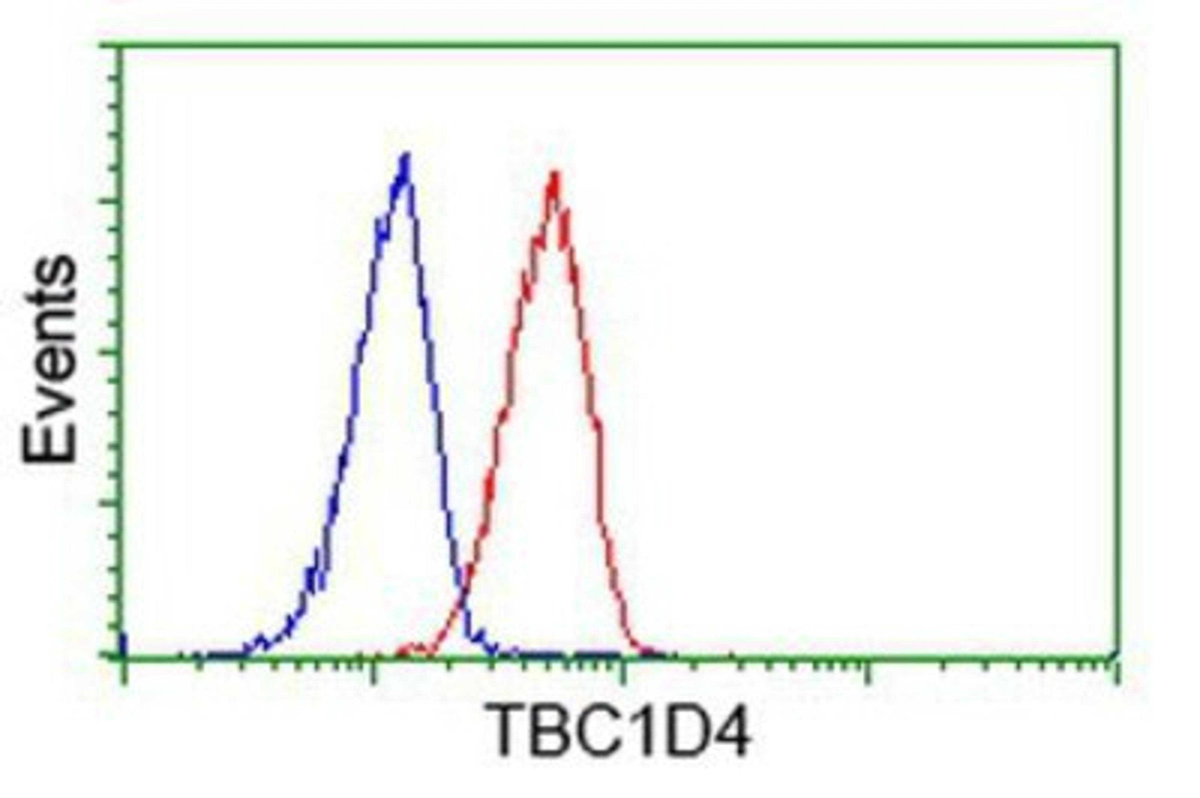 Flow Cytometry: TBC1D4 Antibody (5E6) [NBP2-00597] - Analysis of Hela cells, using anti-TBC1D4 antibody, (Red), compared to a nonspecific negative control antibody (Blue).