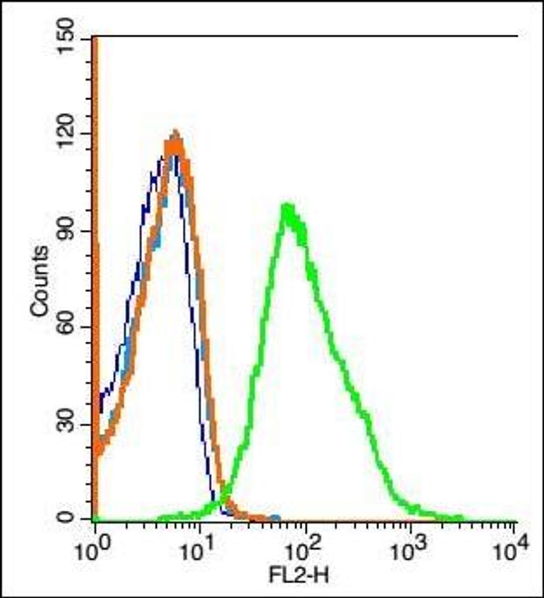 Flow cytometric analysis of Mouse spleen cell (blue). using RAG1 antibody.