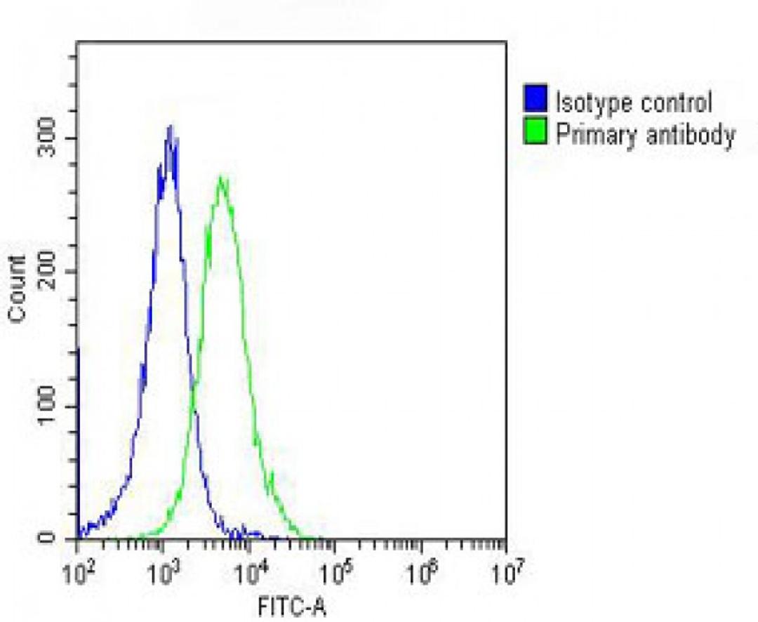 Overlay histogram showing Hela cells stained with Antibody (green line). The cells were fixed with 2% paraformaldehyde (10 min) and then permeabilized with 90% methanol for 10 min. The cells were then icubated in 2% bovine serum albumin to block non-speci