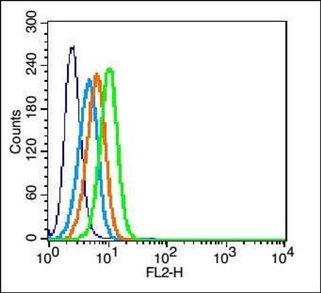 Flow cytometric analysis of U937 cell using CCR2-5 antibody.