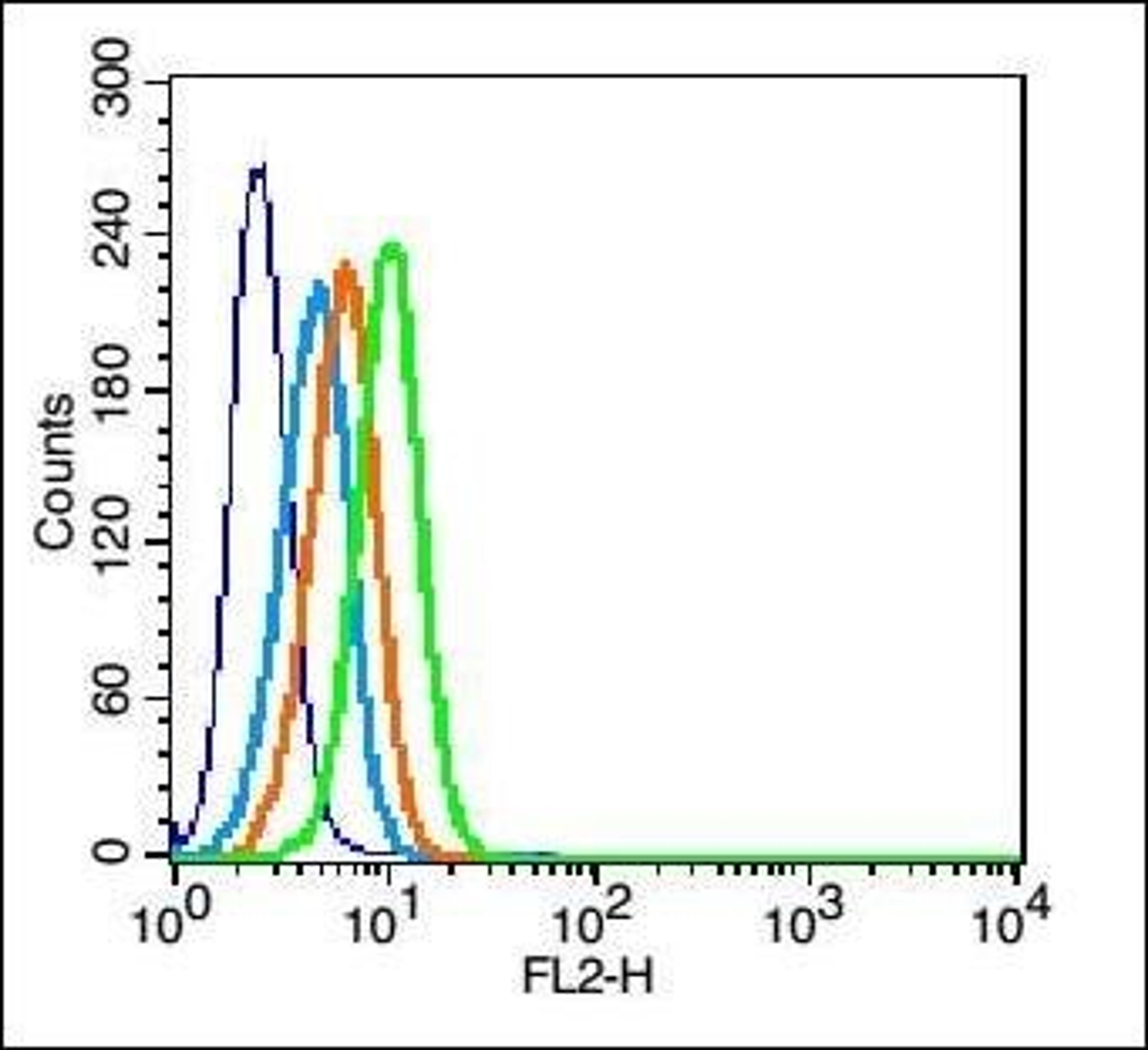 Flow cytometric analysis of U937 cell using CCR2-5 antibody.