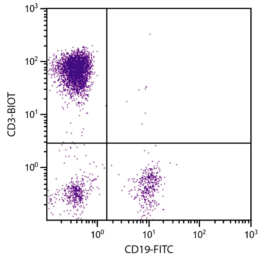 Human peripheral blood lymphocytes were stained with Mouse Anti-Human CD3-BIOT (Cat. No. 99-414) and Mouse Anti-Human CD19-FITC followed by Streptavidin-PE .