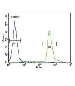 Flow cytometric analysis of MDA-MB231 cells using SMAD3-S208 antibody (primary antibody dilution at: 1:10-50)