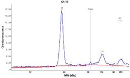 Simple Western: PGAM5 Antibody [NBP1-92257] - Electropherogram image(s) of corresponding Simple Western lane view. PGAM5 antibody was used at 1:60 dilution on RT-4   lysate(s).