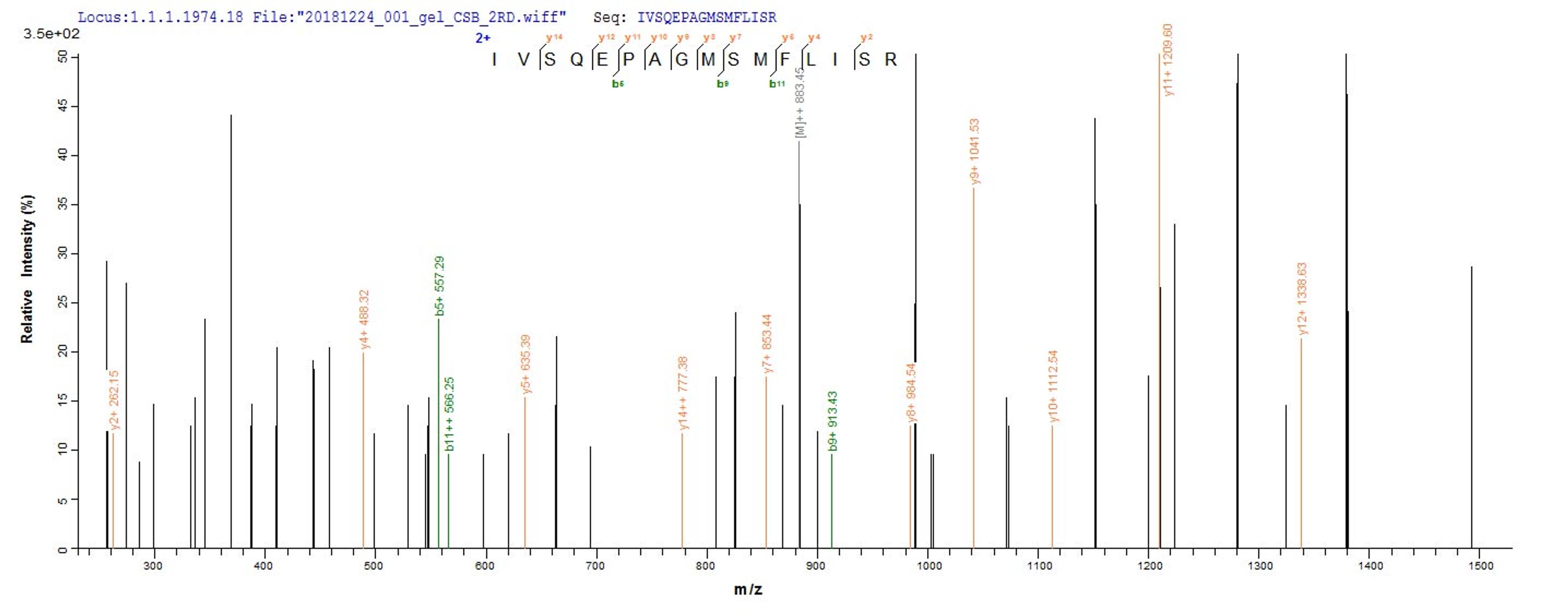 Based on the SEQUEST from database of Baculovirus host and target protein, the LC-MS/MS Analysis result of CSB-BP007205MO could indicate that this peptide derived from Baculovirus-expressed Mus musculus (Mouse) Dsg3.