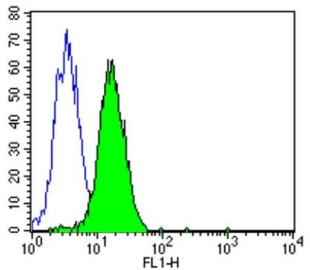 Flow Cytometry: RB1 Antibody (1F8-Rb1) [NB120-3077] - Analysis of Retinoblastoma in Daudi cells compared to an isotype control (blue).