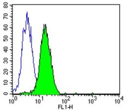 Flow Cytometry: RB1 Antibody (1F8-Rb1) [NB120-3077] - Analysis of Retinoblastoma in Daudi cells compared to an isotype control (blue).