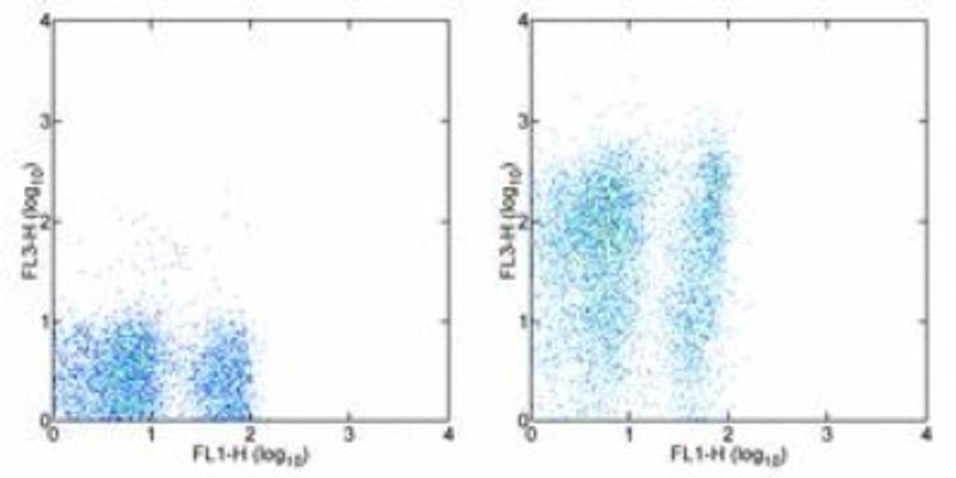 Flow Cytometry: Ly-6A/E Antibody (D7) [NB100-77513] - Analysis using the PE/Cy7 conjugate of NB100-77513. Staining of C57BL/6 splenocytes with Anti-Mouse CD3e FITC and 0.06 ug of Rat IgG2a kappa Isotype Control PE-Cy7 (left) or 0.06 ug of Anti-Mouse Ly-6A/E (Sca-1) PE-Cy7 (right). Cells in the lymphocyte gate were used for analysis.