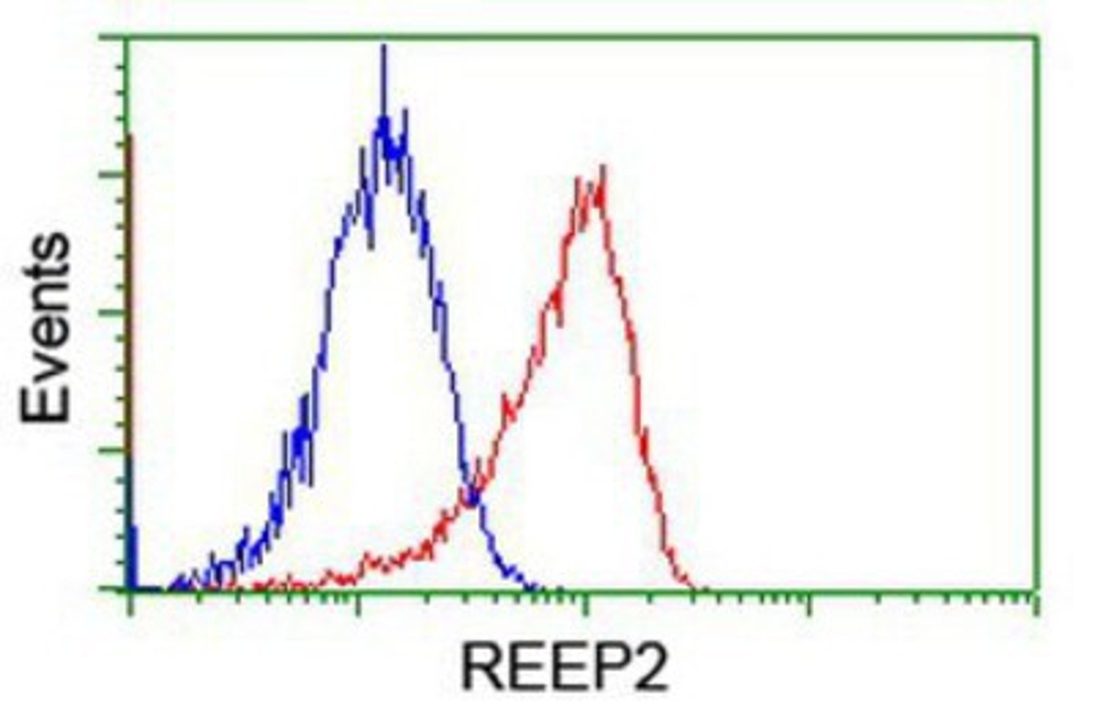 Flow Cytometry: REEP2 Antibody (2C7) [NBP2-01796] - Analysis of Jurkat cells, using anti-REEP2 antibody, (Red), compared to a nonspecific negative control antibody (Blue).