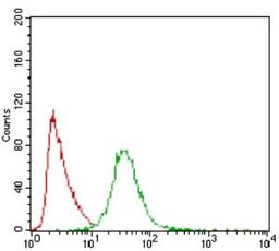 Flow Cytometry: PON1 Antibody (4G8D3) [NBP2-23610] - Flow cytometric analysis of Hela cells using PON1 mouse mAb (green) and negative control (red).