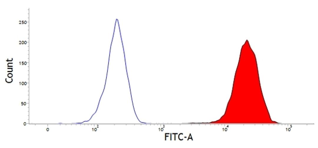 Staining of bovine peripheral blood lymphocytes with Mouse anti Bovine CD45