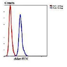 Flow cytometric analysis of Hela cells using cMet antibody