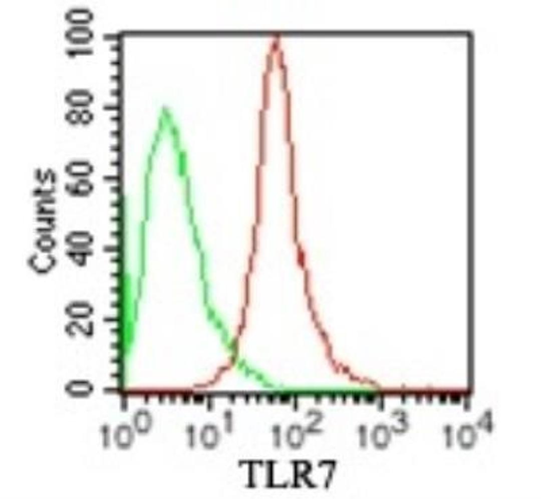 Flow (Intracellular): TLR7 Antibody (4G6) [NBP2-27332] - Analysis using the PE conjugate of NBP2-27332. Staining of TLR7 in 10^6 human BDCM cells (red) and 0.5 ug of mouse IgG1 isotype control (green). this antibody was used for this test.