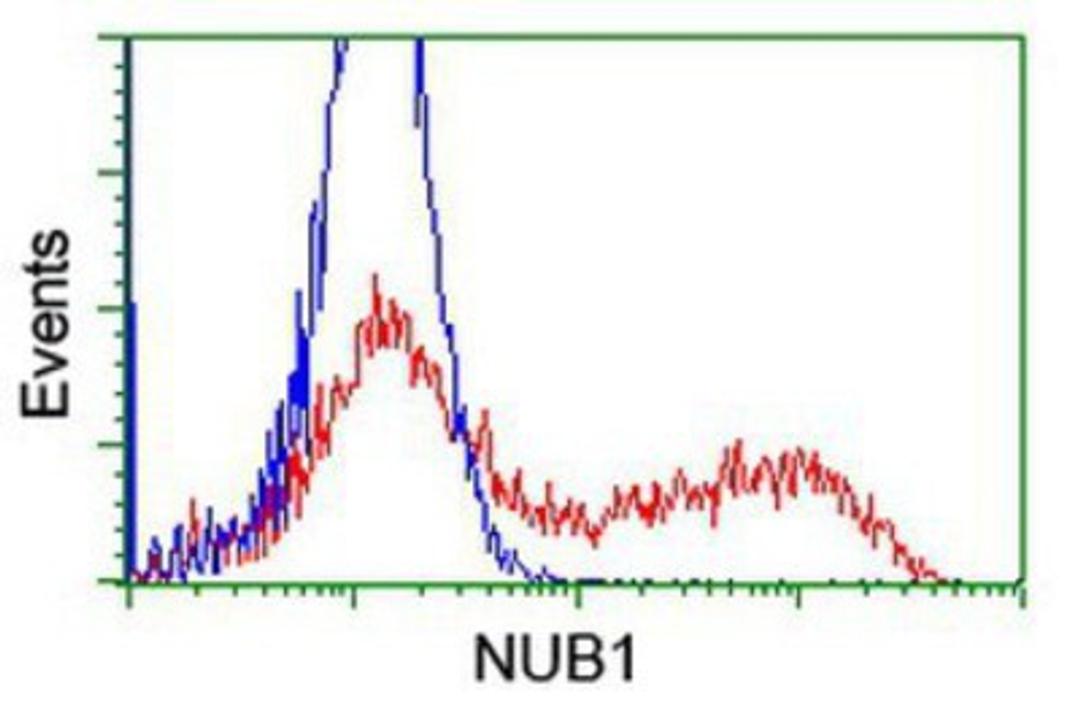 Flow Cytometry: NYREN18 Antibody (4H2) [NBP2-03897] - HEK293T cells transfected with either overexpression plasmid (Red) or empty vector control plasmid (Blue) were immunostained by anti-NYREN18 antibody, and then analyzed by flow cytometry.