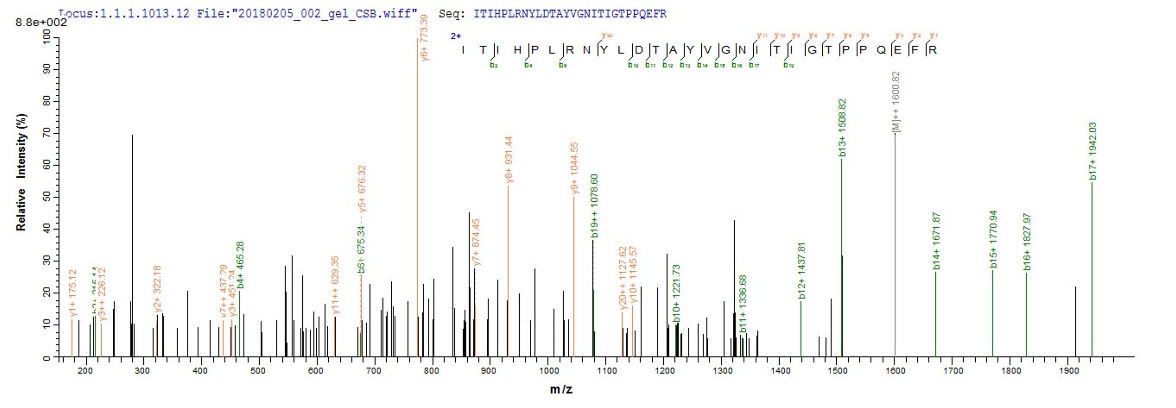 Based on the SEQUEST from database of E.coli host and target protein, the LC-MS/MS Analysis result of CSB-EP637747BO could indicate that this peptide derived from E.coli-expressed Bos taurus (Bovine) PAG2.