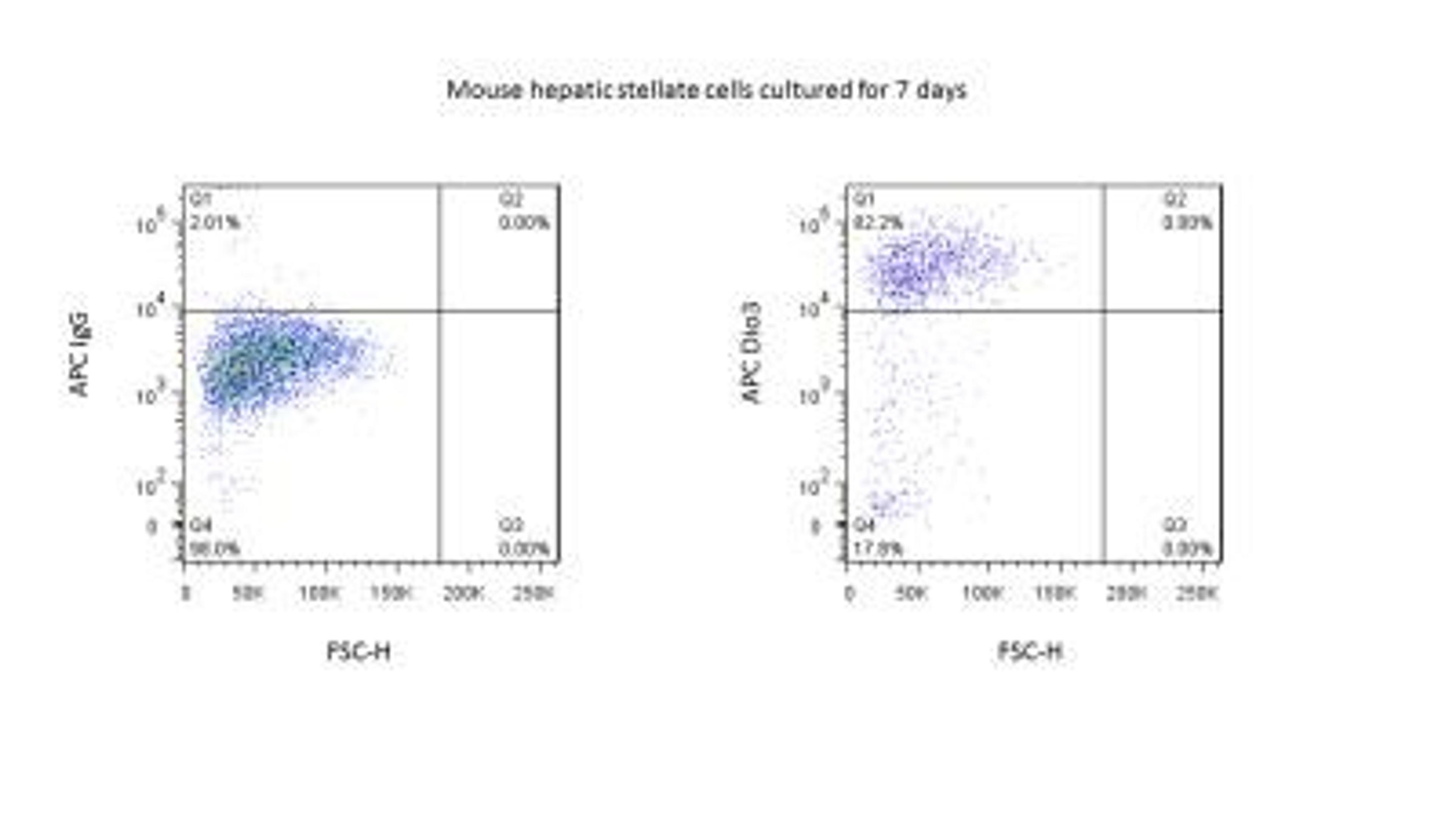 Flow Cytometry: DIO3 Antibody [NBP1-05767] - Analysis using the Biotin conjugate of NBP1-05767. Dio3 staining of mouse hepatic stellate cell cultured for 7 days. Image from verified customer review.