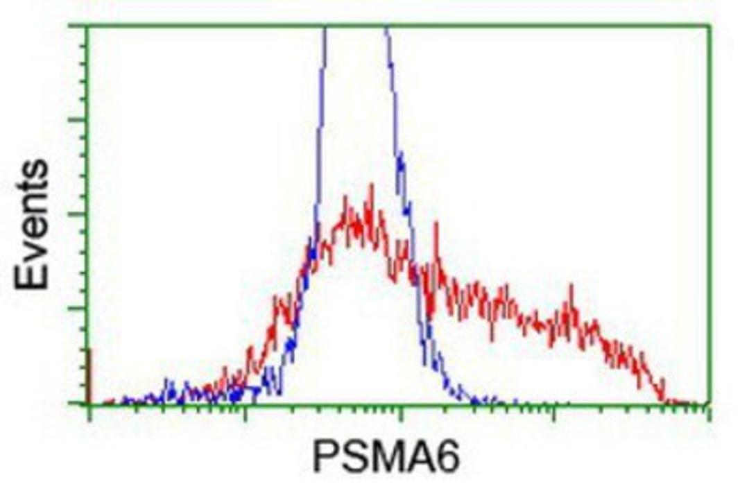 Flow Cytometry: Proteasome 20S alpha 6 Antibody (4C9) [NBP2-03836] - HEK293T cells transfected with either overexpression plasmid (Red) or empty vector control plasmid (Blue) were immunostained by anti-Proteasome 20S alpha 6 antibody, and then analyzed by flow cytometry.