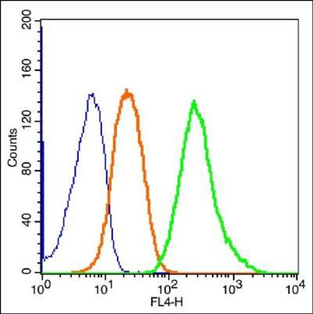 Flow cytometric analysis of Rsc96 cell using ganglioside GM1 antibody.