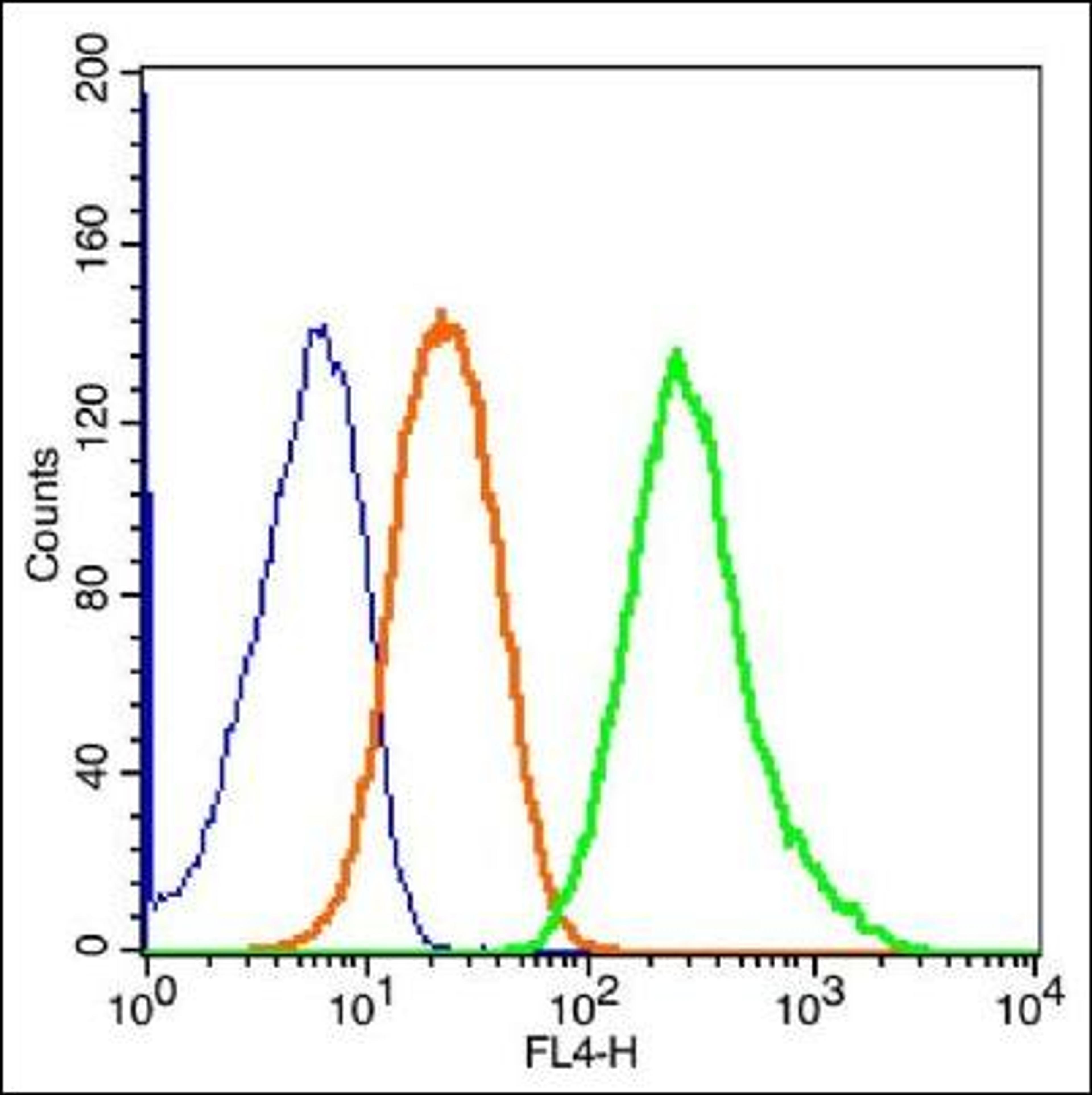 Flow cytometric analysis of Rsc96 cell using ganglioside GM1 antibody.