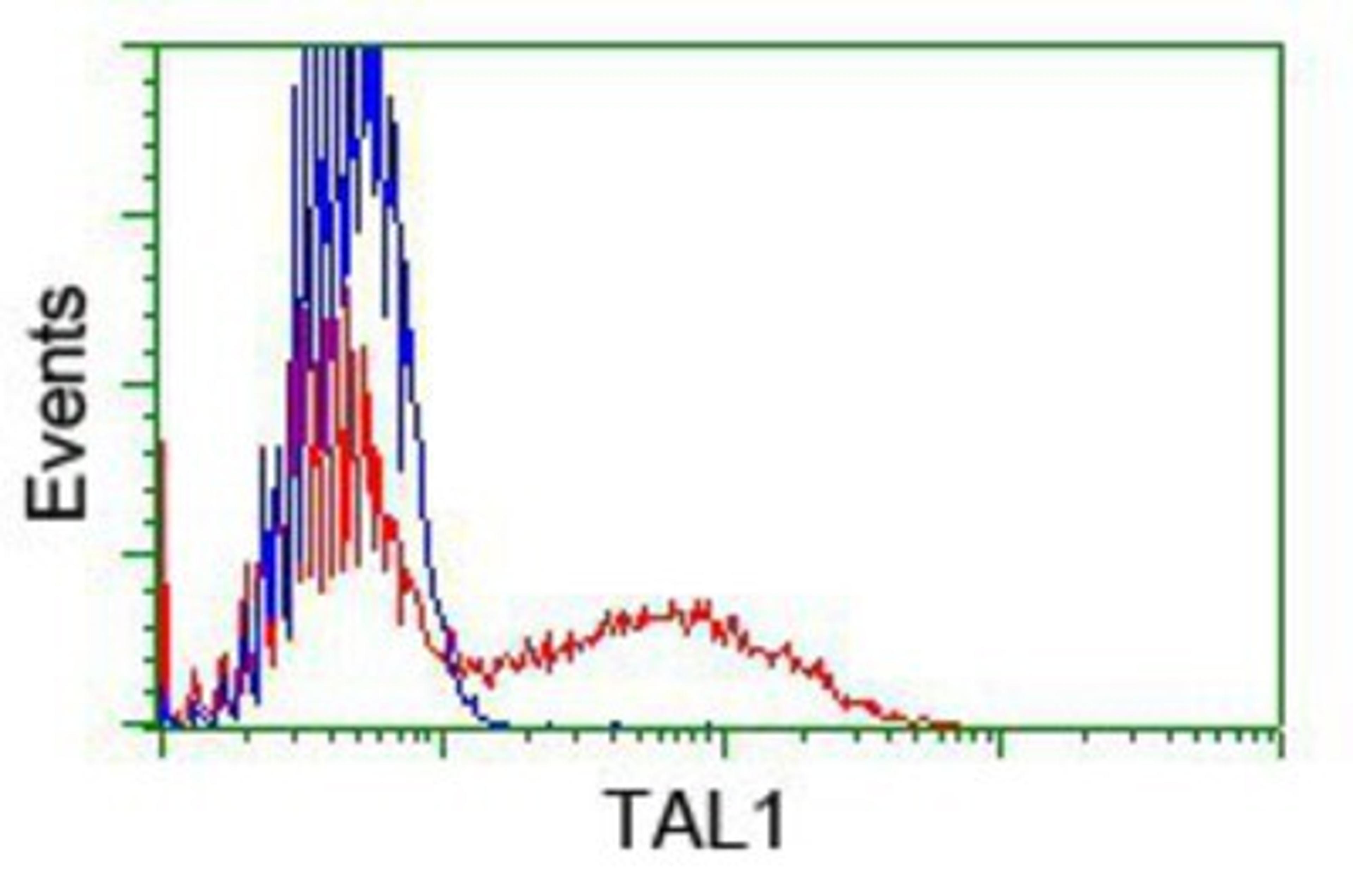 Flow Cytometry: Tal1 Antibody (5H1) [NBP2-01488] - HEK293T cells transfected with either overexpression plasmid (Red) or empty vector control plasmid (Blue) were immunostained by anti-Tal1 antibody, and then analyzed by flow cytometry.